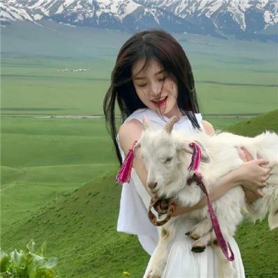 廉政行动2009粤语